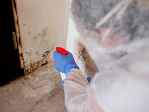 Can You Stay in Home During Mold Remediation?
